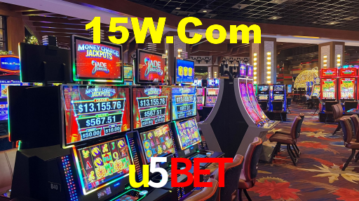 Premium Interface u5bet